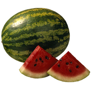 Watermelon Kito - 50g